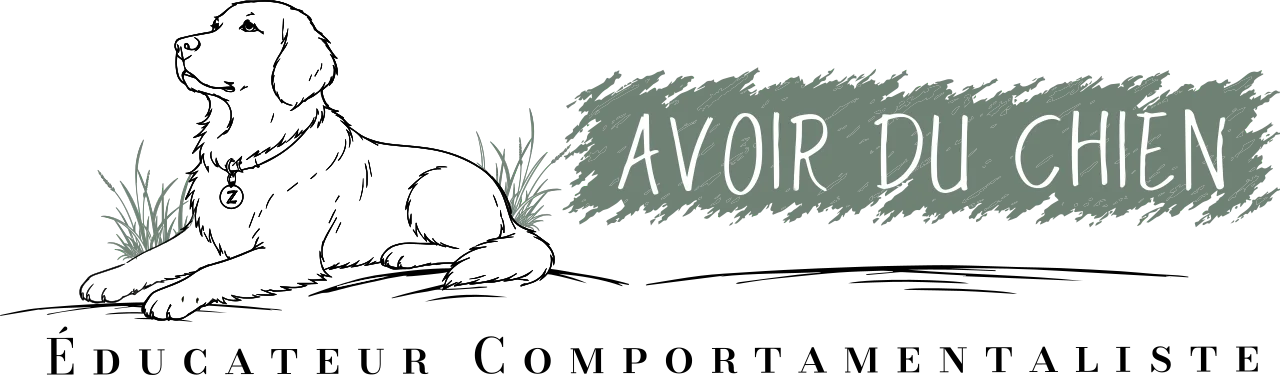 Avoir du chien